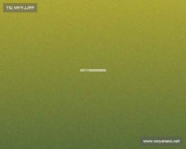 网球500赛事打几场网球打多少场